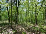 100A Open Fork Road - Photo 28