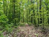 100A Open Fork Road - Photo 29