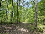 100A Open Fork Road - Photo 3
