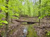 100A Open Fork Road - Photo 30