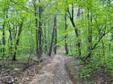 100A Open Fork Road - Photo 32