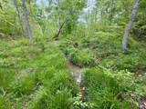 100A Open Fork Road - Photo 36
