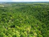 100A Open Fork Road - Photo 40