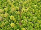 100A Open Fork Road - Photo 41