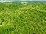 100A Open Fork Road - Photo 42