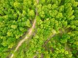 100A Open Fork Road - Photo 43