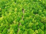 100A Open Fork Road - Photo 44