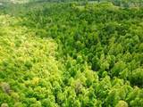 100A Open Fork Road - Photo 45