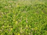 100A Open Fork Road - Photo 46