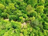 100A Open Fork Road - Photo 47