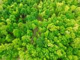 100A Open Fork Road - Photo 48