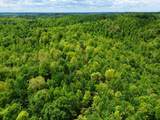100A Open Fork Road - Photo 49