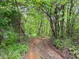 100A Open Fork Road - Photo 5