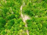 100A Open Fork Road - Photo 52