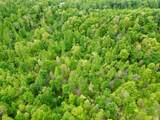 100A Open Fork Road - Photo 54
