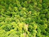 100A Open Fork Road - Photo 55