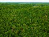 100A Open Fork Road - Photo 56