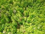 100A Open Fork Road - Photo 57