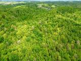100A Open Fork Road - Photo 58