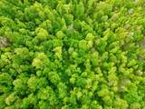 100A Open Fork Road - Photo 59