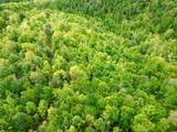 100A Open Fork Road - Photo 60