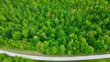 100A Open Fork Road - Photo 61