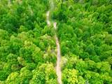 100A Open Fork Road - Photo 65