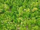 100A Open Fork Road - Photo 66
