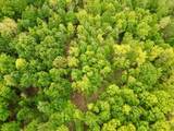 100A Open Fork Road - Photo 67