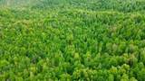 100A Open Fork Road - Photo 70