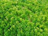 100A Open Fork Road - Photo 72
