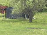 2172 Patty Ridge Road - Photo 12