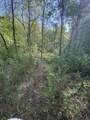 Tract 10 Rawlings/Upper Rader Road - Photo 20