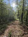 Tract 10 Rawlings/Upper Rader Road - Photo 21