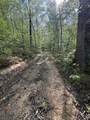 Tract 10 Rawlings/Upper Rader Road - Photo 23