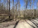 Lot Mountain Springs Cem Road - Photo 10