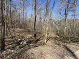 Lot Mountain Springs Cem Road - Photo 11