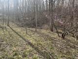 Lot Mountain Springs Cem Road - Photo 2