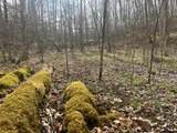 Lot Mountain Springs Cem Road - Photo 6