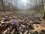 Lot Mountain Springs Cem Road - Photo 8