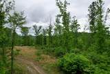 22 Buck Run Ridge Road - Photo 3