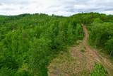 22 Buck Run Ridge Road - Photo 5