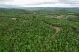 22 Buck Run Ridge Road - Photo 6