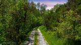 375 Rays Fork Road - Photo 51