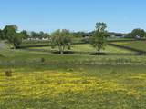 10 Acres Mt. Horeb Pike - Photo 2