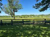 10 Acres Mt. Horeb Pike - Photo 5