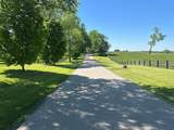 10 Acres Mt. Horeb Pike - Photo 6