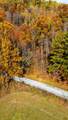 25 Tar Fork Road - Photo 10