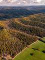 25 Tar Fork Road - Photo 13
