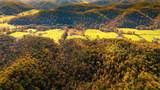 25 Tar Fork Road - Photo 8